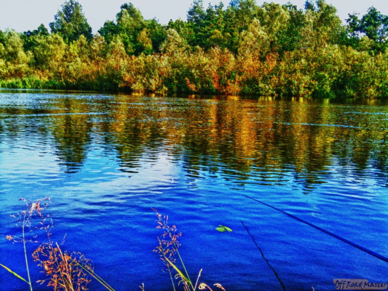 Offroad FreeFEST 2011