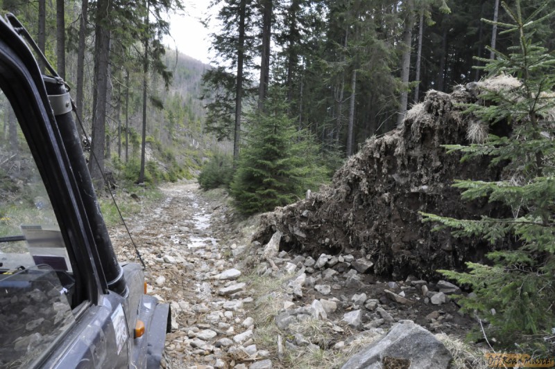 _DSC0254 - копия.JPG