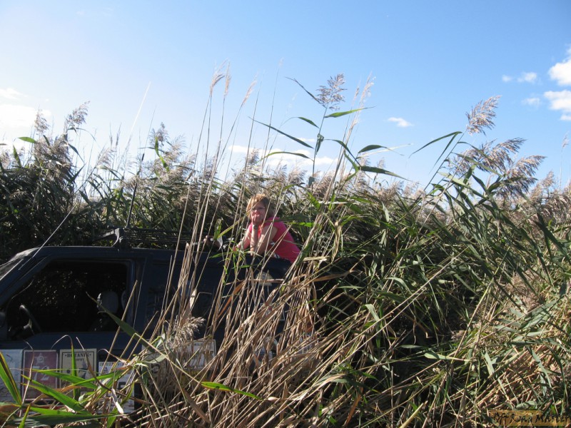 Изображение 044.jpg