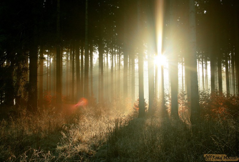 Красивая осень..