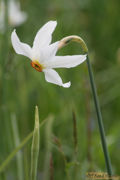 Карпаты 072.jpg