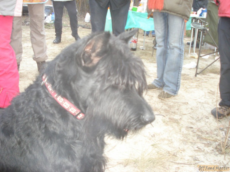 Завершающая покатуха 2011 057.jpg