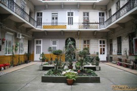 IMG_3624_1.jpg IMG_3624_1.jpg