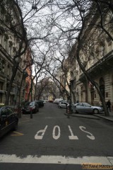 IMG_3635_1.jpg IMG_3635_1.jpg