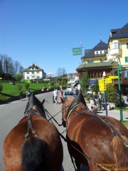 20120430_100539.JPG 20120430_100539.JPG