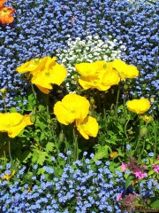 20120501_131658.JPG 20120501_131658.JPG