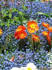 20120501_131602.JPG 20120501_131602.JPG