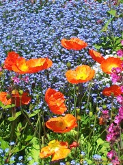 20120501_131628.JPG 20120501_131628.JPG