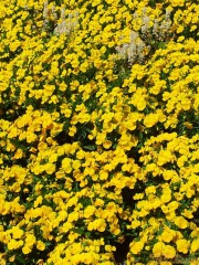 20120501_131755.JPG 20120501_131755.JPG