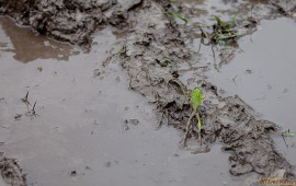 IMG_1340.jpg IMG_1340.jpg