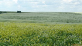 P1030646.JPG P1030646.JPG