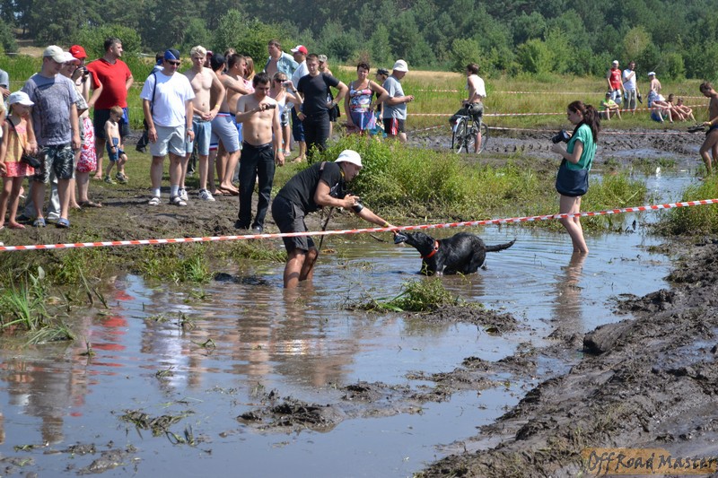 Изображение 336.jpg