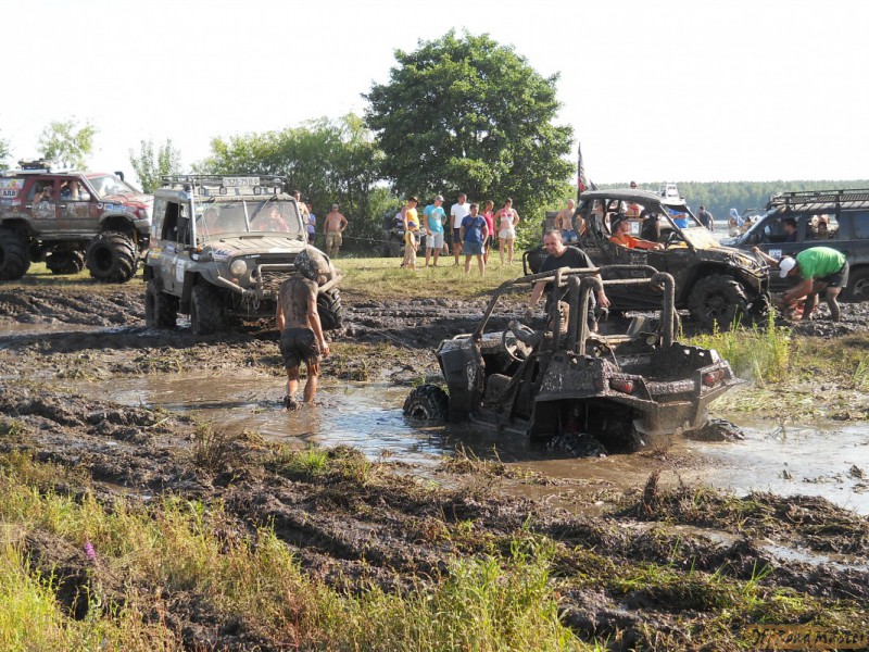 Изображение 419.jpg