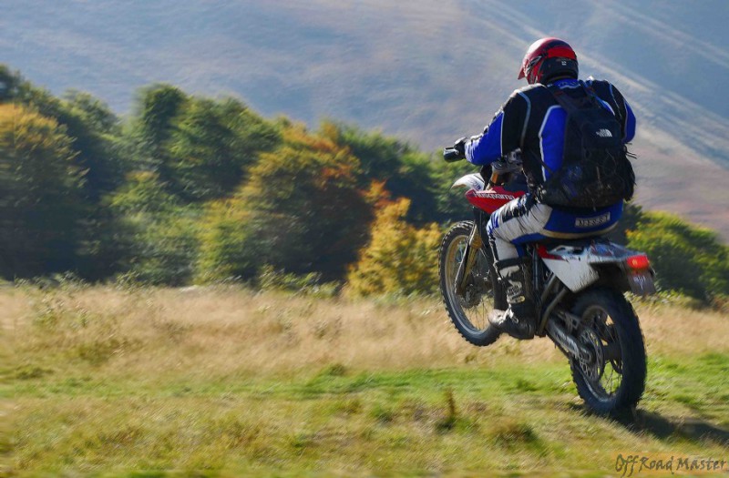 8011008_ae70fecc.jpg 8011008_ae70fecc.jpg