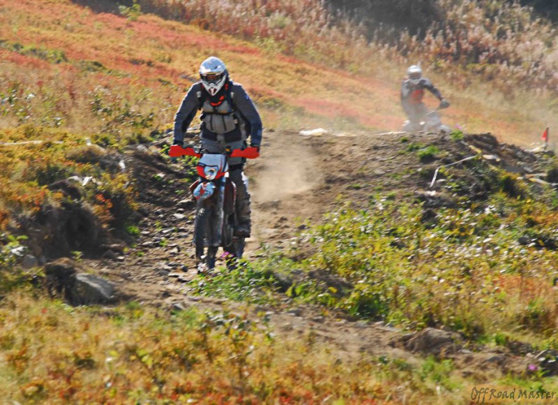 8011328_73cc52f1.jpg 8011328_73cc52f1.jpg