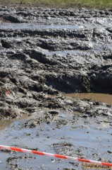 DSC_2504.JPG DSC_2504.JPG