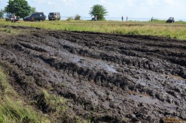 DSC_2617.JPG DSC_2617.JPG