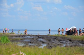 DSC_2618.JPG DSC_2618.JPG