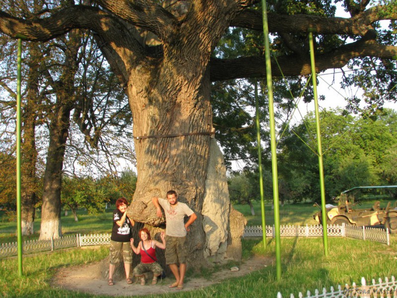 Shampan_Vinnica_ 119.JPG