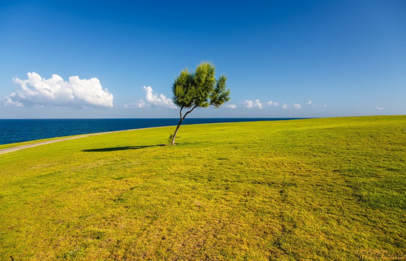 5D Mark III + EF24-105.jpg