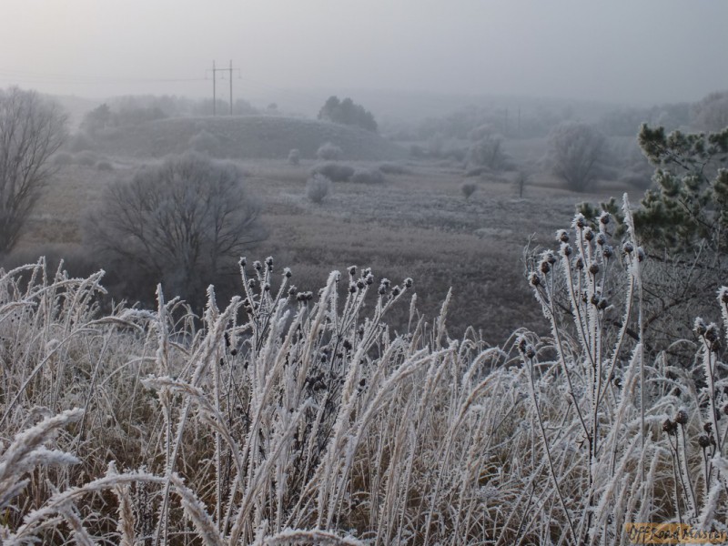 Изображение 023.jpg