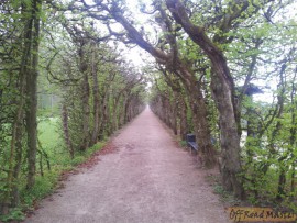 20130504_100416.jpg 20130504_100416.jpg