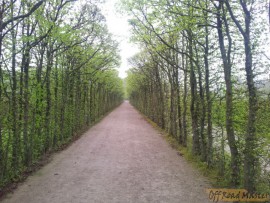 20130504_095708.jpg 20130504_095708.jpg