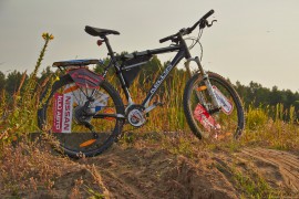 Фрифест 2013 118.jpg Фрифест 2013 118.jpg