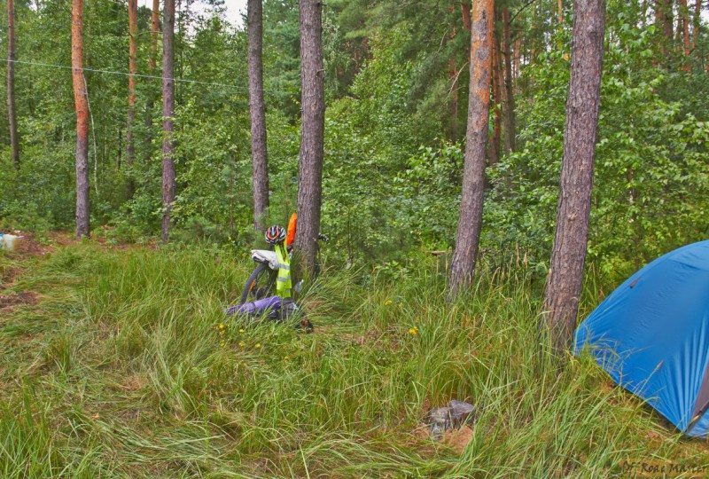 Фрифест 2013 4.jpg