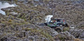 Фрифест 2013 280.jpg Фрифест 2013 280.jpg