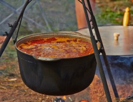 Фрифест 2013 148.jpg Фрифест 2013 148.jpg