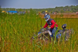 Фрифест 2013 156.jpg Фрифест 2013 156.jpg