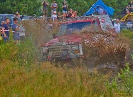 Фрифест 2013 181.jpg Фрифест 2013 181.jpg