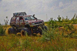 Фрифест 2013 196.jpg Фрифест 2013 196.jpg