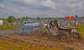 Фрифест 2013 176.jpg Фрифест 2013 176.jpg