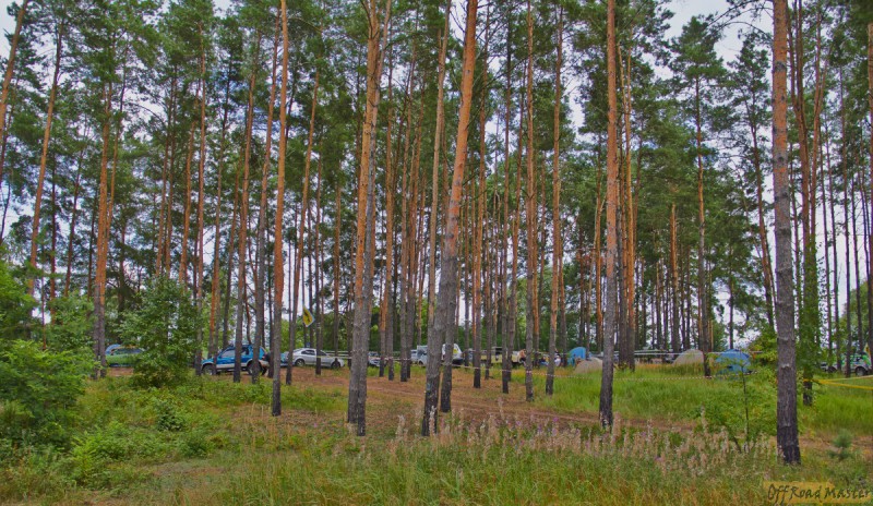 Фрифест 2013 13.jpg