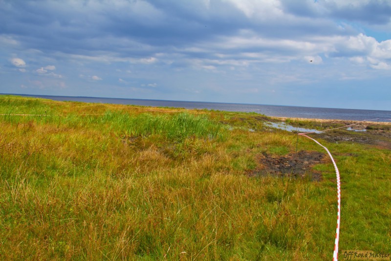 Фрифест 2013 7.jpg