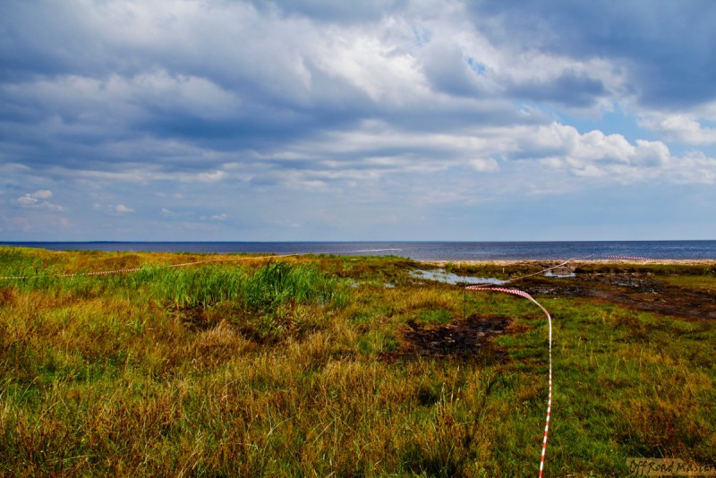 Фрифест 2013 53.jpg