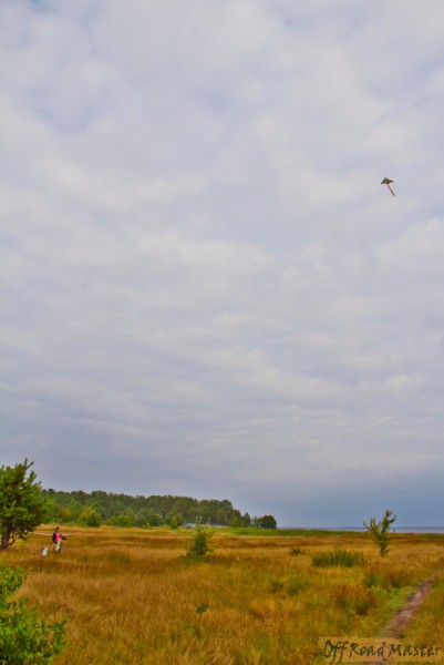 Фрифест 2013 49.jpg