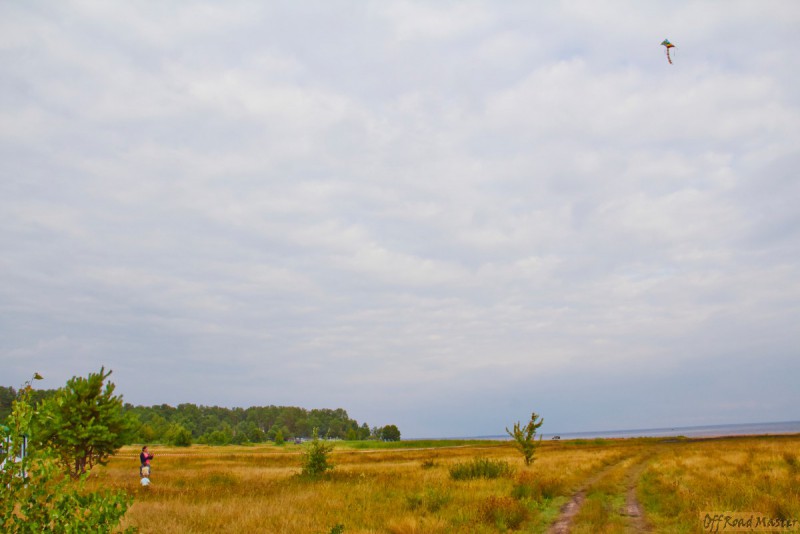 Фрифест 2013 46.jpg