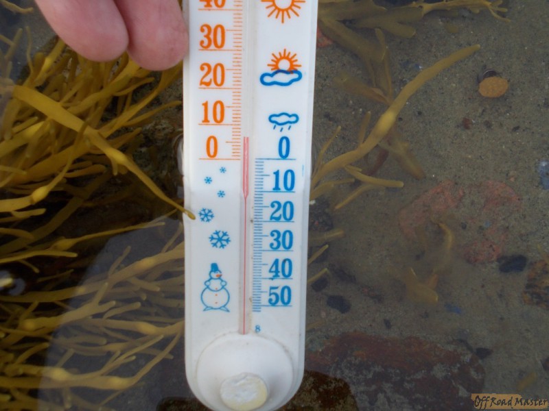 Арктик трофи  2013 072.jpg