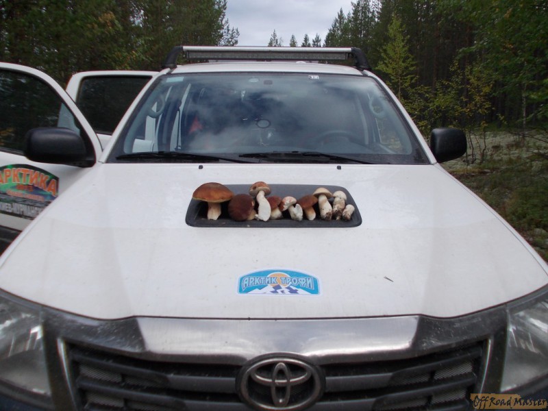 Арктик трофи  2013 115.jpg