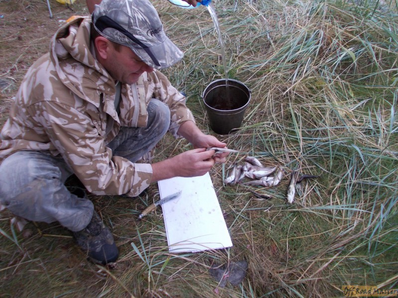 Арктик трофи  2013 078.jpg