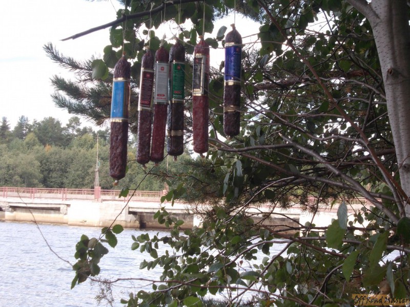 Арктик трофи  2013 037.jpg