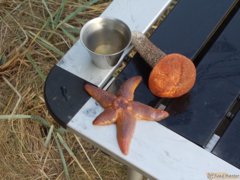 Арктик трофи  2013 065.jpg