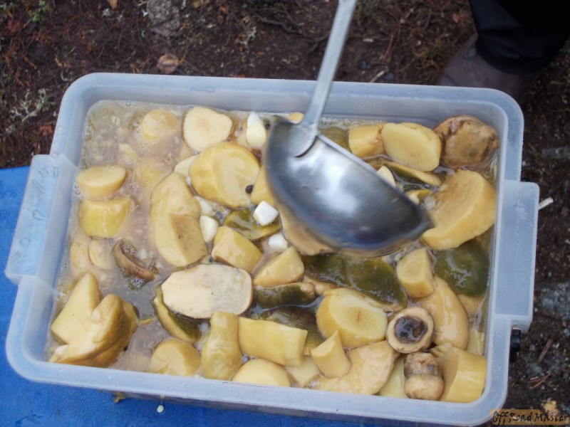 Арктик трофи  2013 156.jpg