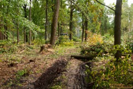 13096_838-561.jpg 13096_838-561.jpg