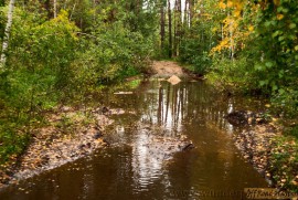 13141_838-561.jpg 13141_838-561.jpg