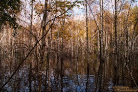 13119_838-561.jpg 13119_838-561.jpg