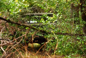 13053_838-561.jpg 13053_838-561.jpg